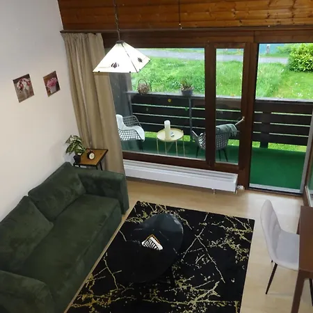 Aare Studio15 Daire Interlaken