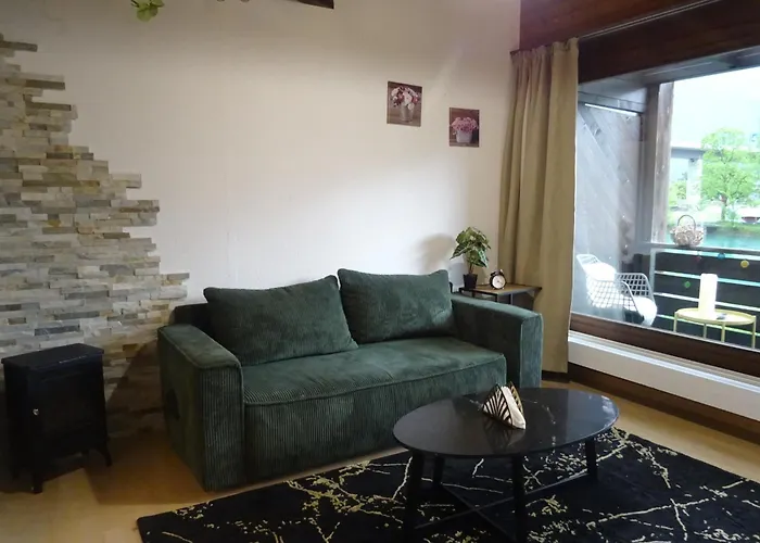 公寓 Aare Studio15 *